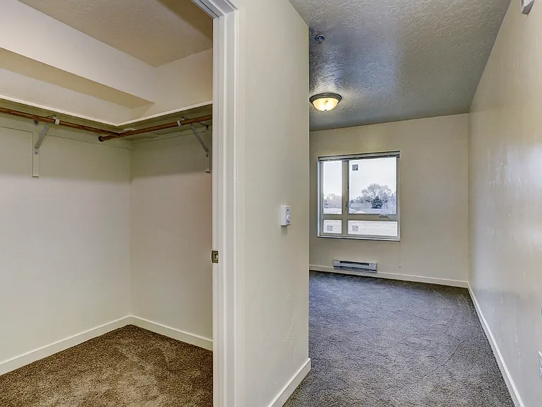 Closet with shelves