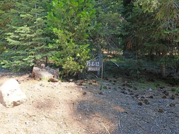 3 Twelve Elk Springs Dr Lot G, McCloud, CA 96057