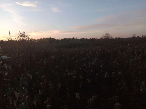 1628 Westfield Rd, Alger, MI 48610