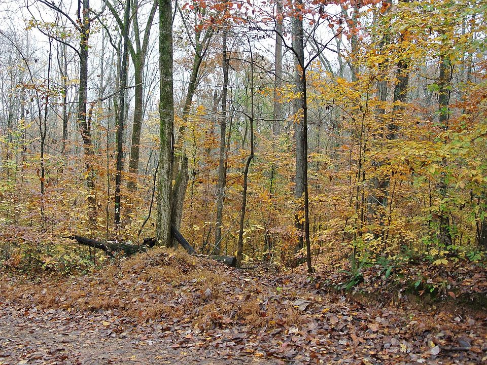 1st image of 0 Dogwood Dr Lot 49-50