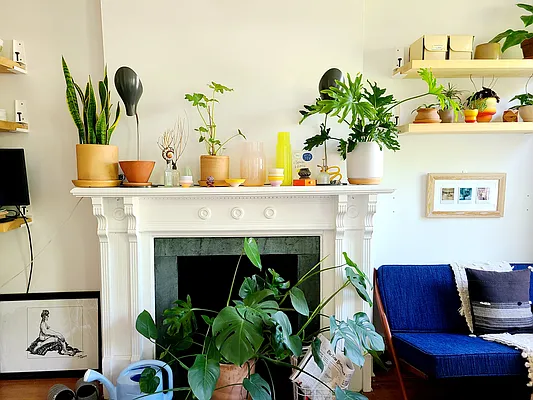 Rented by Ideal Properties Group | media 14