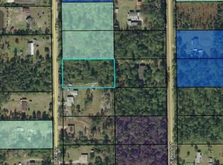 2153 Elder St, Bunnell, FL 32110