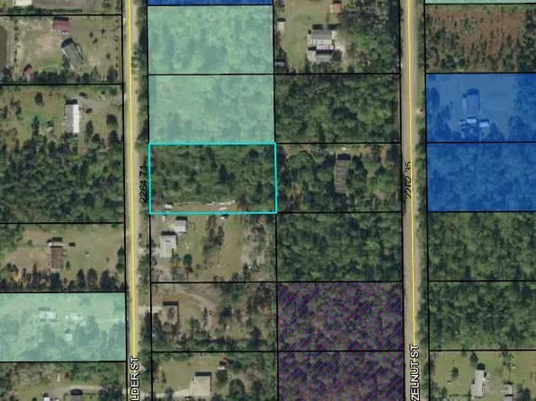 2153 Elder St, Bunnell, FL 32110