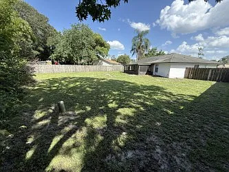 Large Back yard
