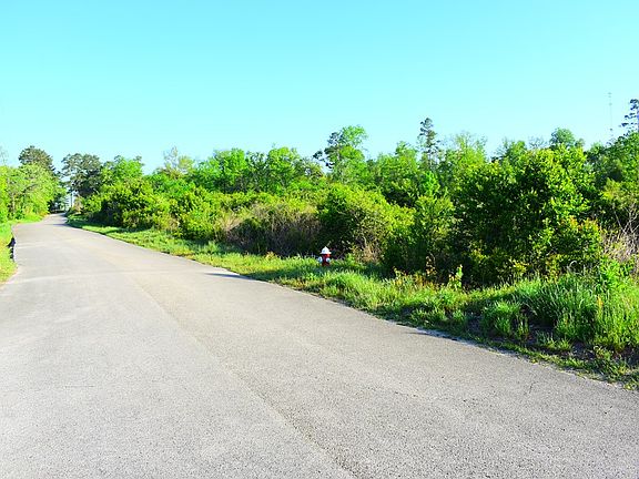 4th image of LOT 1 Gasaway Rd