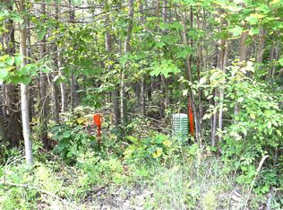 1797 Derby Rd, Indian River, MI 49749