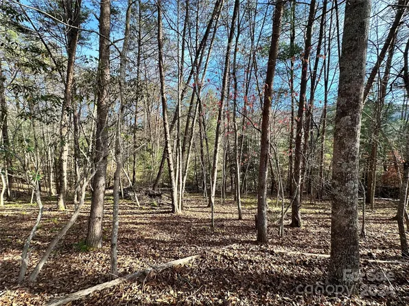 Burley Rdg, Candler, NC 28715