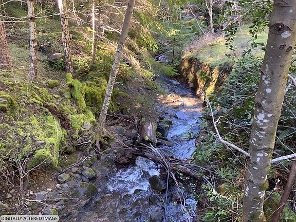4th image of 10225 Low Gap Road