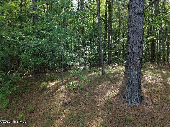 3rd image of 6311 Canadian Ave Lot 104