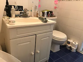 Rented by J Misrahi Realty Corp