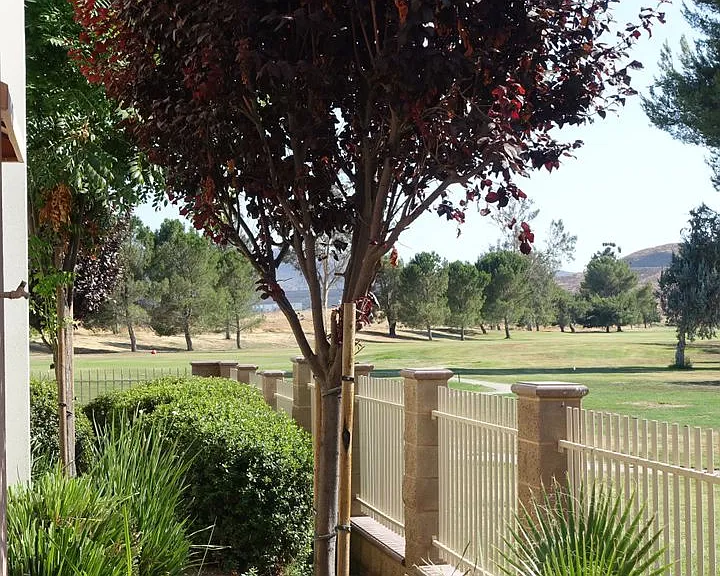 55+ Terrace at Seven Hills 1BR/1BA with parking — Photo 19