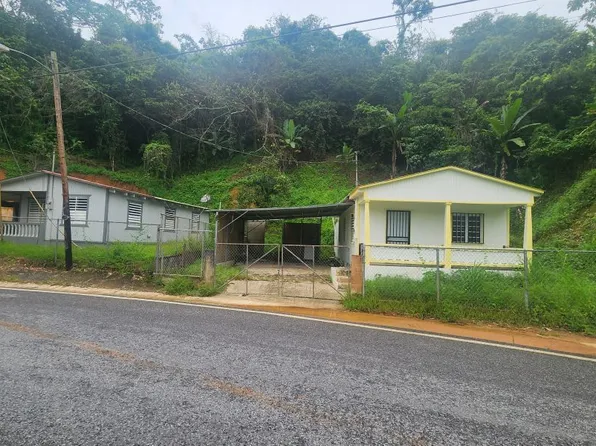 Bo Juan Gonzalez Carr 123 Adjuntas A Utuado Antig, Adjuntas, PR 00601