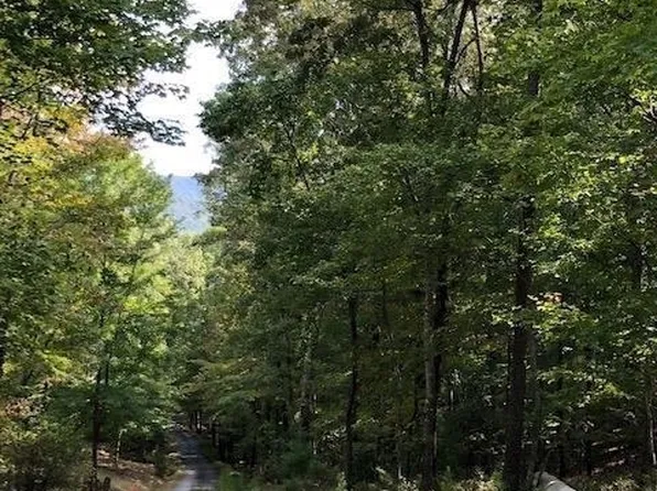 0 Little Forest Trl, Morganton, GA 30560