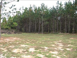 2nd image of 944 Sims Rd