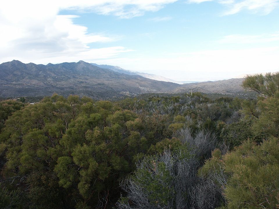 2nd image of Spring Crest Drive
