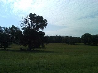 1st image of 10977 S Brightstar Ave