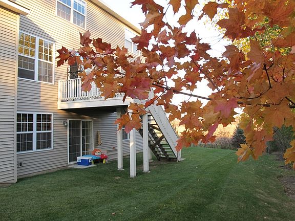 Backyard, Tree-Lined.