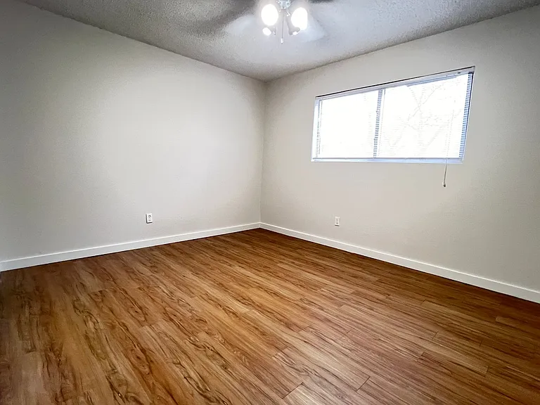 Bouldin Creek — Photo 136
