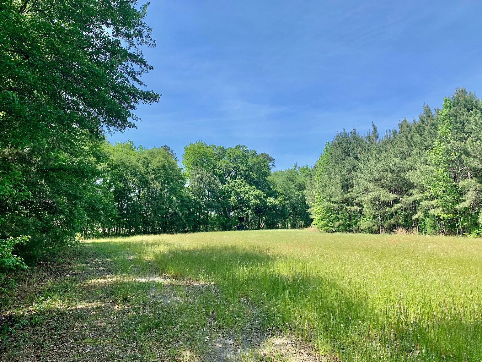 356 Liberty Ave N, Estill, SC 29918 Zillow