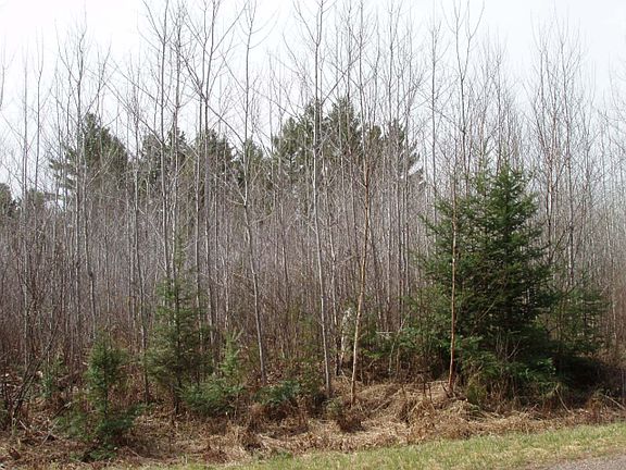 2nd image of N Clover Rd N #N