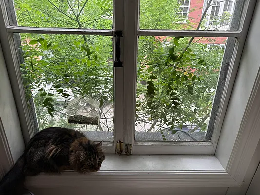 Rented by Buchbinder & Warren | media 2