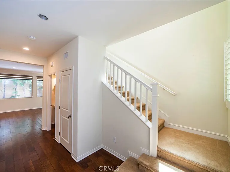 33 Bromeliad — Photo 14