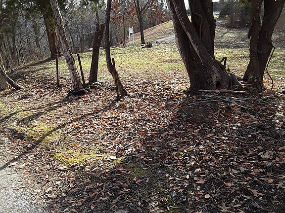 Driveway facing South