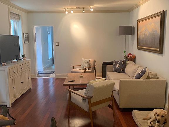 Living room, dog friendly :)
