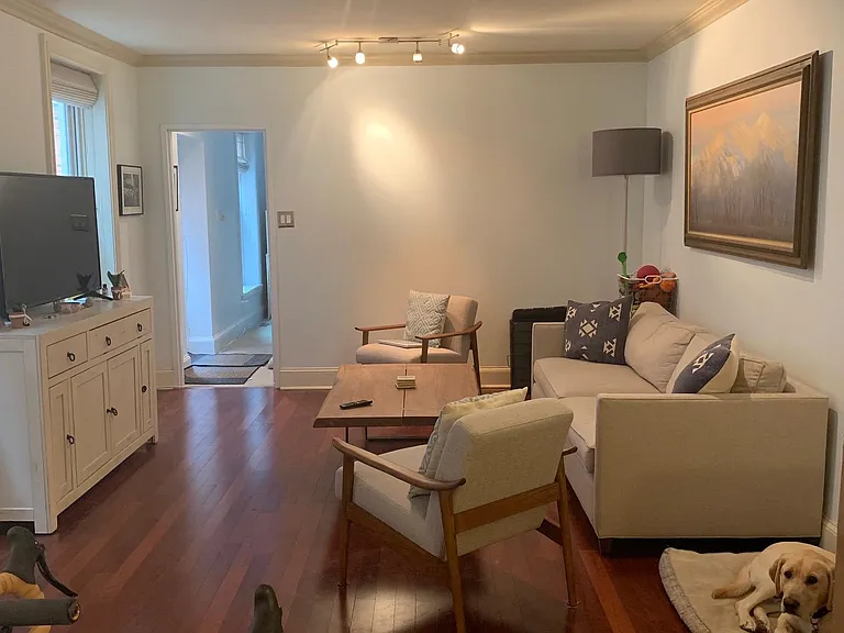 Living room, dog friendly :)
