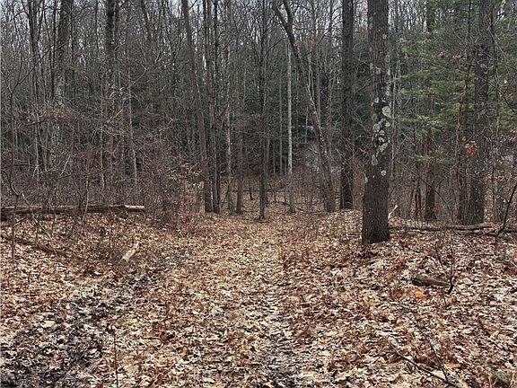 5th image of 370 Ellis Creek Rd