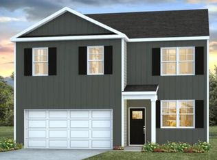 1064 Mulligan Dr, Manning, SC 29102