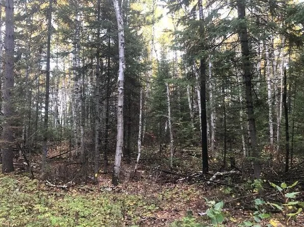 Highway 5, Cook, MN 55723