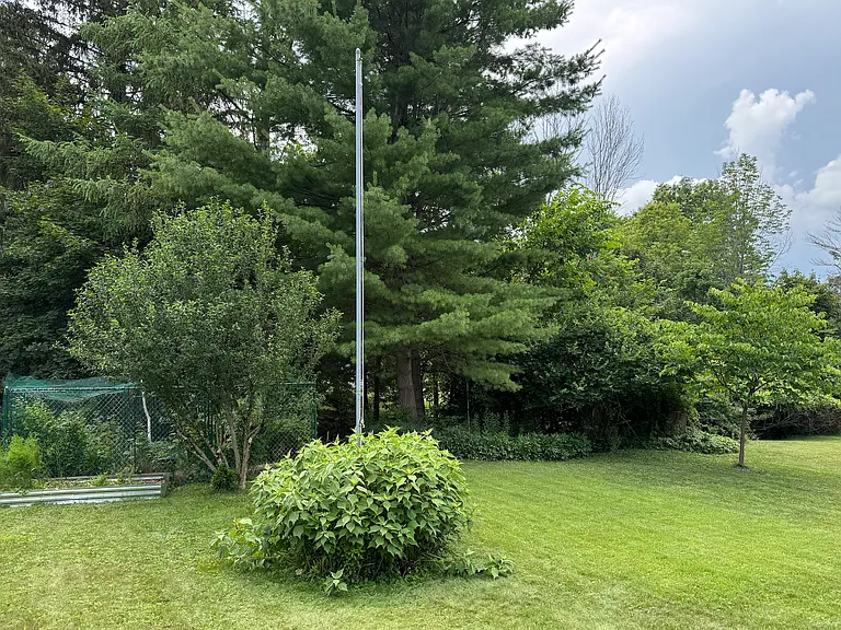 Back yard in July