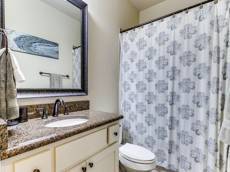 Downstairs Guest Bathroom