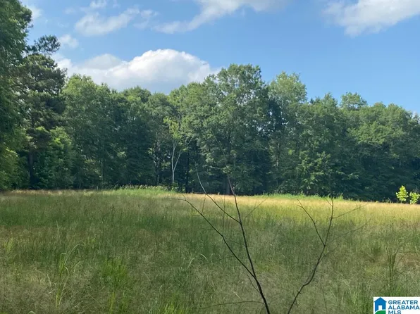 Russell Dairy Rd #0, Jasper, AL 35503