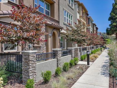 151 Cypress Loop, Hayward, CA, 94544