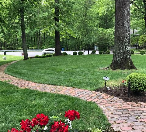 Curb Appeal 