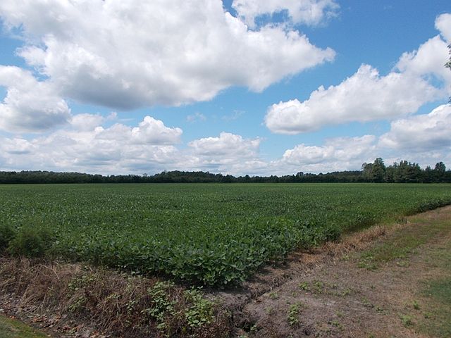 2nd image of 1293 Sawyer Rd