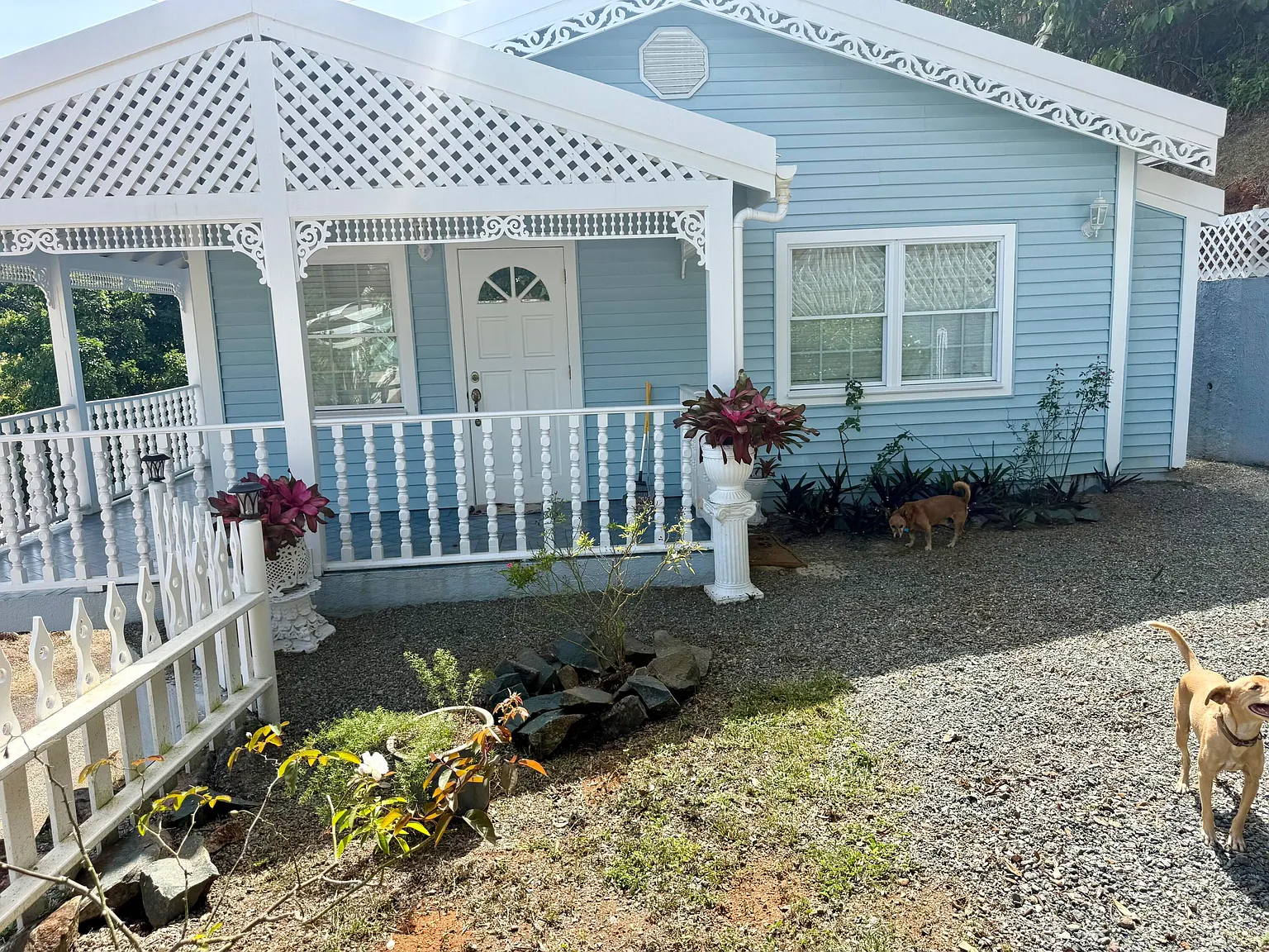 2 bed, 950 sqft, $3,200 — Photo 1
