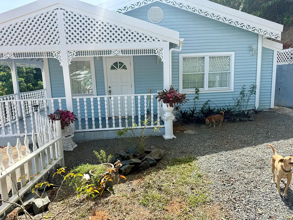 3QA Saint Peter Lns St