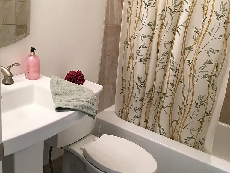 Master Bathroom2