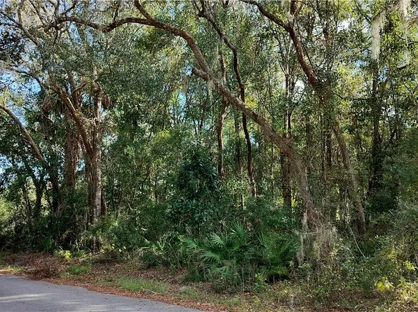 6844 W Grant St, Homosassa, FL 34448
