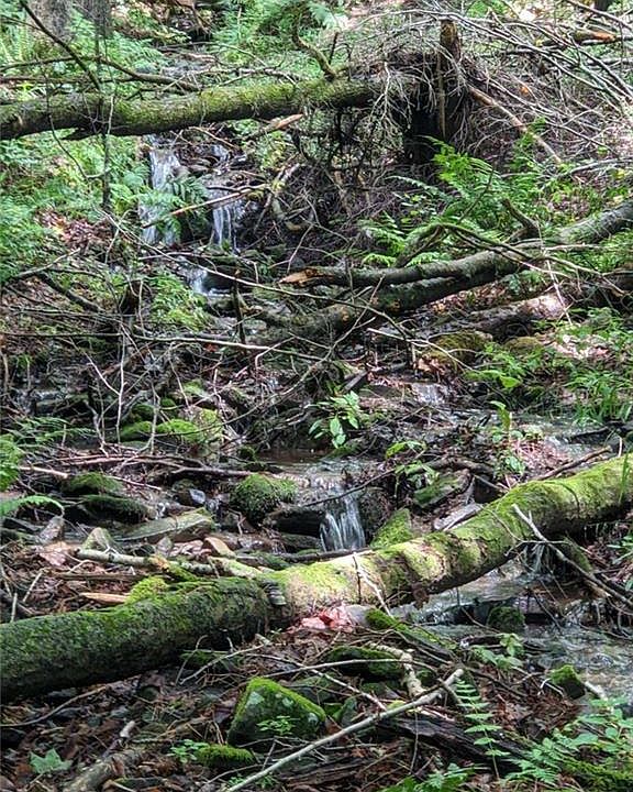 0 Tennanah Lake Road, Roscoe, NY 12776 Zillow