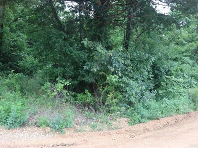 0 Wickham Rd, Mountain View, AR, 72560