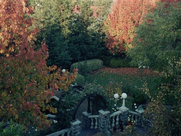Backyard Fall Colors