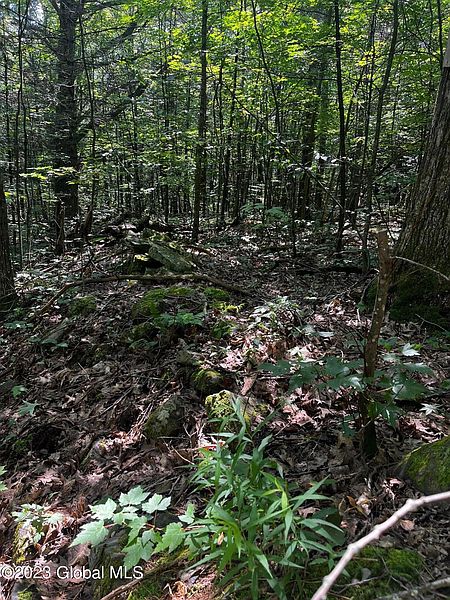 2nd image of 185 Kims Way