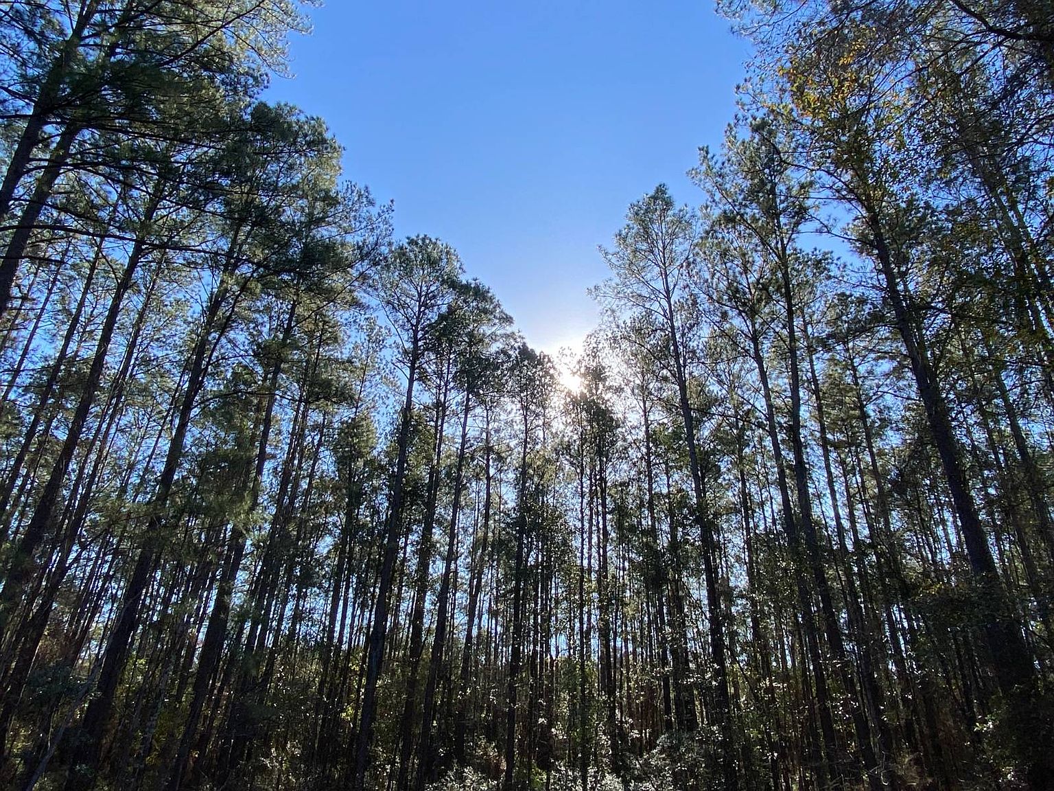 1 State Highway 59, Stockton, AL 36579 | MLS #11405188 | Zillow