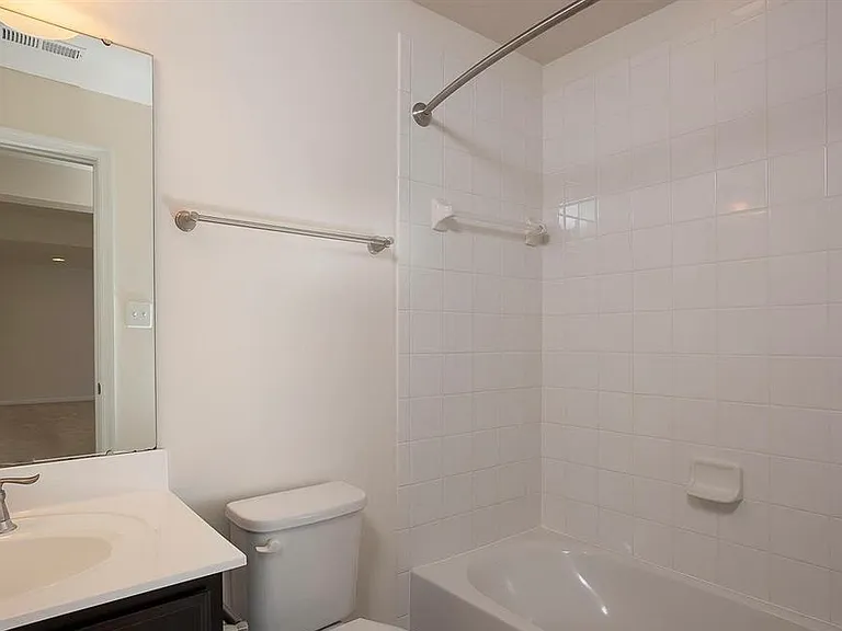 Lower level bathroom