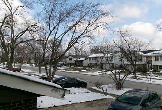 4th image of 17012 Magnolia Dr