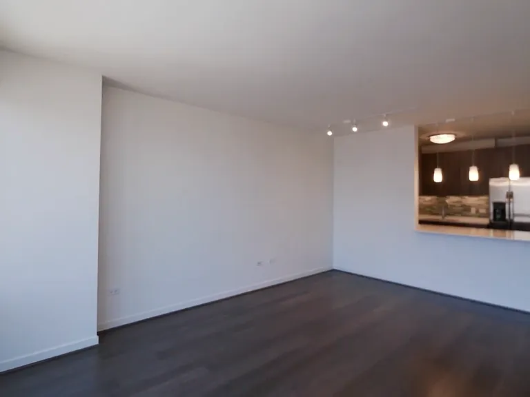 414 N Orleans St #2411 — Photo 5